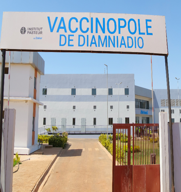 AVN Sénégal